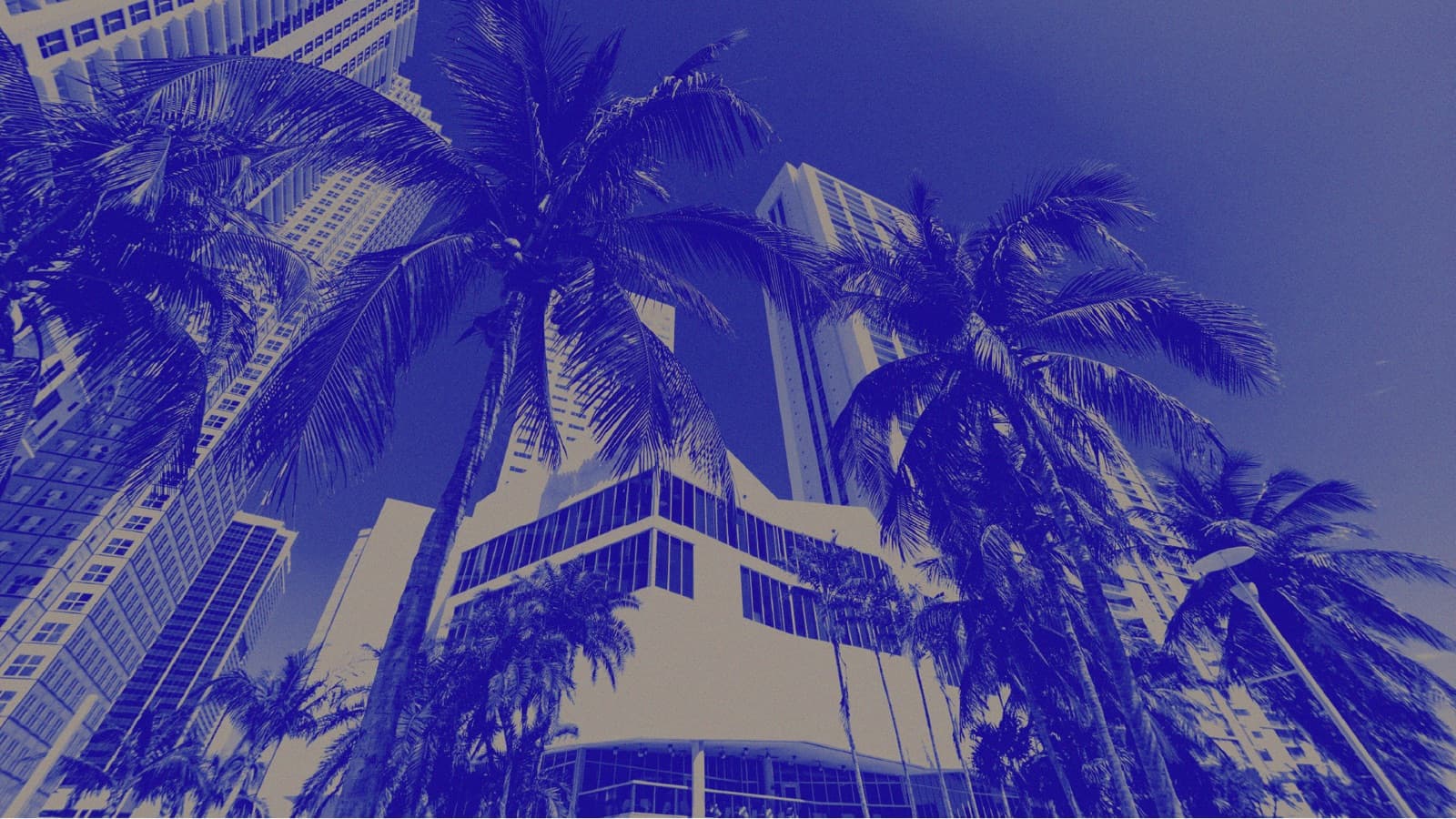 XENOM Miami